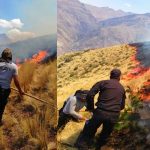 Incendios forestales de grandes dimensiones afectan 3 provincias del Cusco