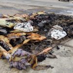 Chorrillos: hombre es acusado de intento de feminicidio tras incendiar casa de su expareja
