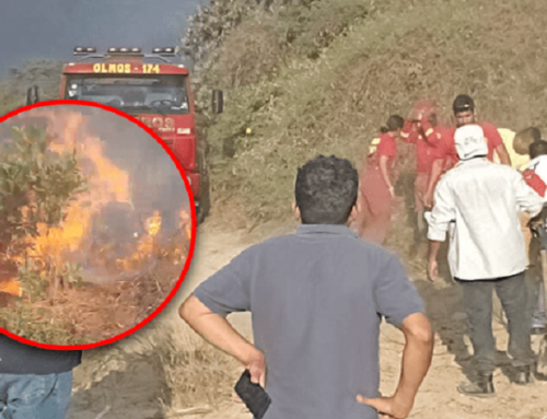 ¡Alarma en Lambayeque! Incendio forestal arrasa con cientos de hectáreas de vegetación